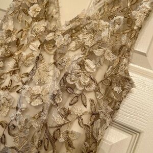 Adrianna Papell size 10